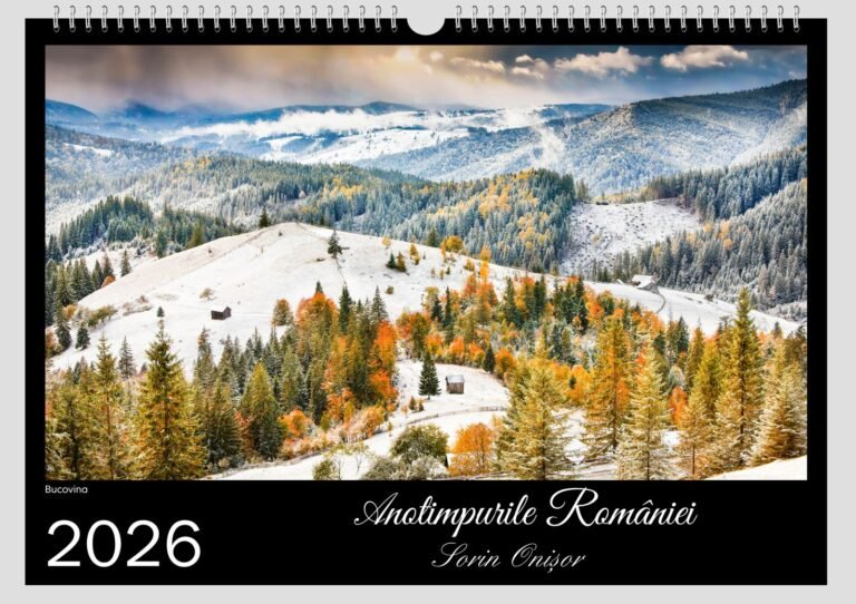 calendar sorin onisor 2026 1