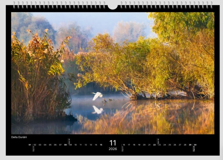 calendar sorin onisor 2026 12