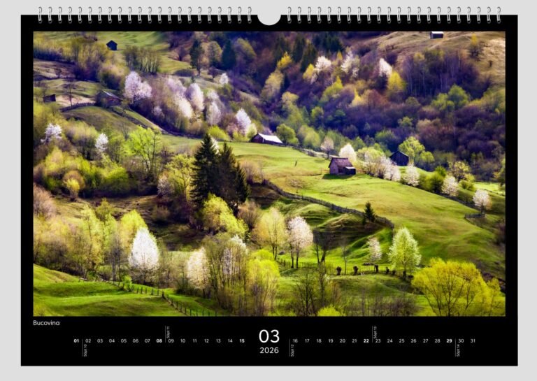 calendar sorin onisor 2026 4
