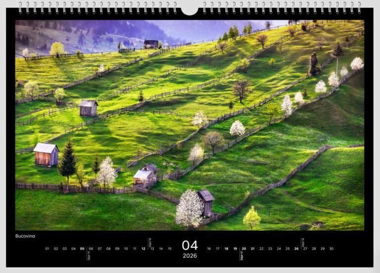 calendar sorin onisor 2026 5