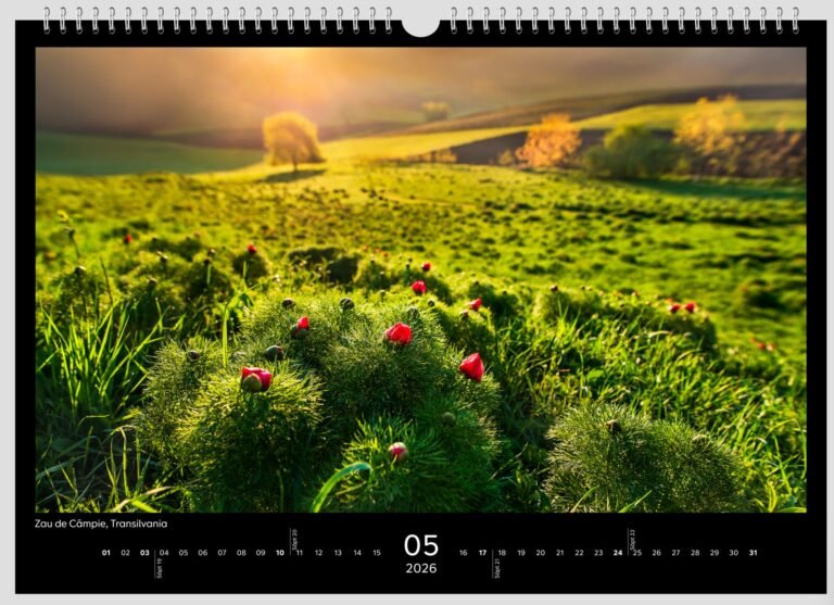 calendar sorin onisor 2026 6