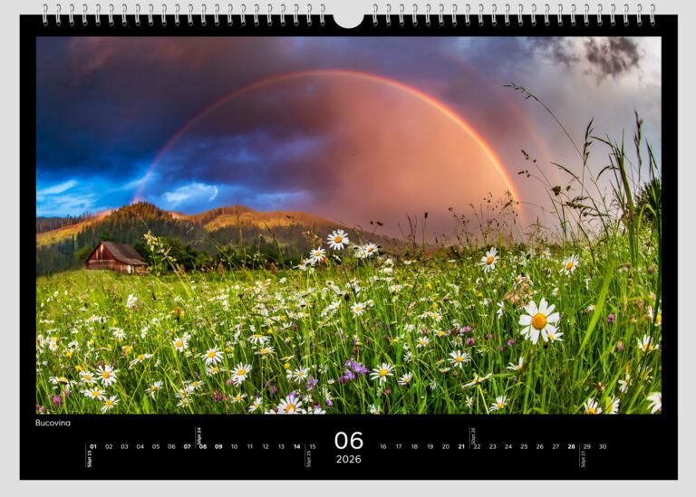 calendar sorin onisor 2026 7