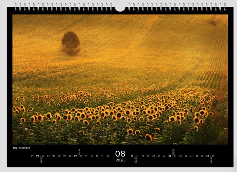 calendar sorin onisor 2026 9