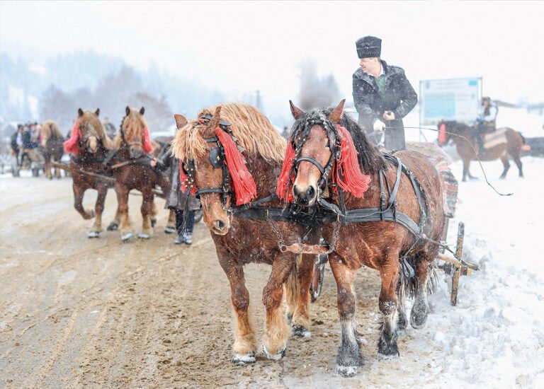 Căruță trasă de cai în zăpadă, iarnă românească.
