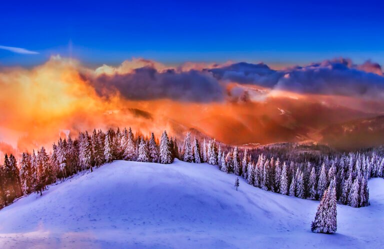 Peisaj montan cu pădure de conifere și zăpadă