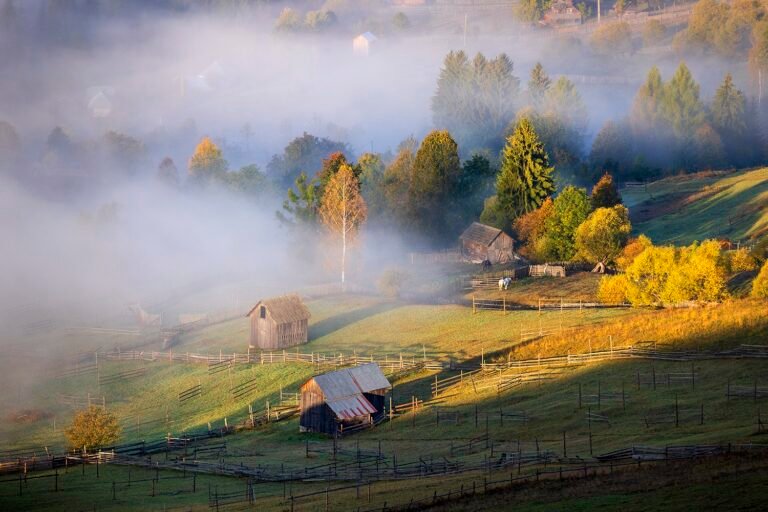 Peisaj rural cu ceață și căsuțe de lemn