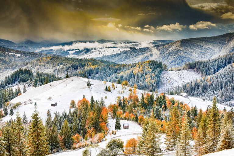 Peisaj montan cu pădure de iarnă și cer înnorat