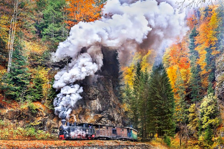 Tren cu aburi prin pădure de toamnă colorată.