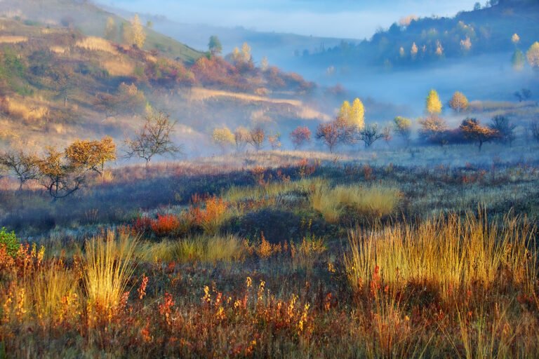 Peisaj toamna cu dealuri ceață și copaci colorați.