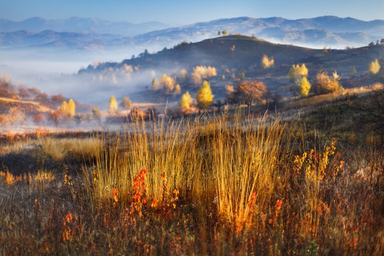 Peisaj de toamnă cu dealuri și vegetație colorată.