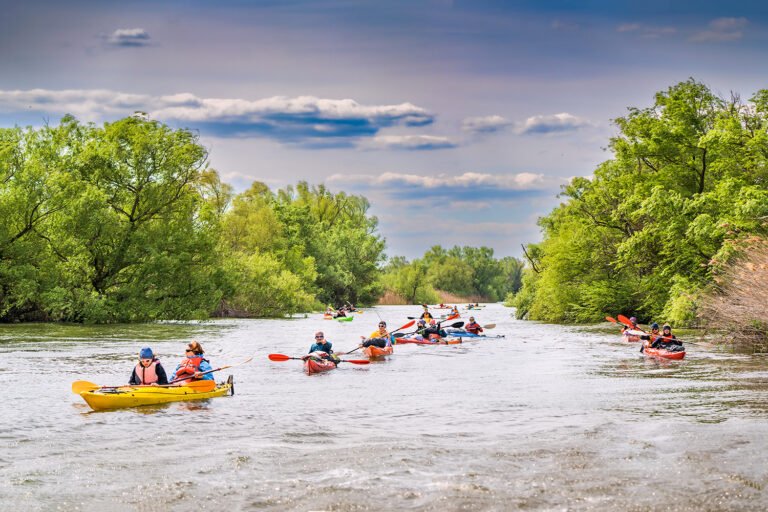 Oameni în caiace pe un râu printre copaci verzi.