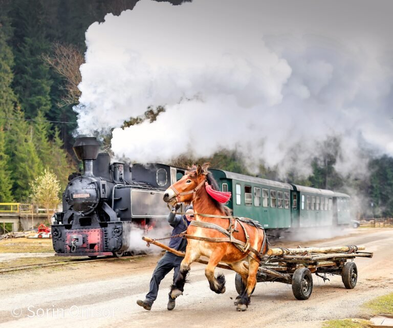 Căruță trasă de cal lângă tren cu aburi.