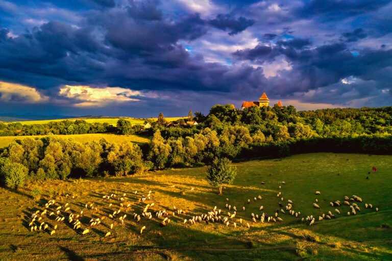 Peisaj rural cu oi și castel sub nori dramatici.