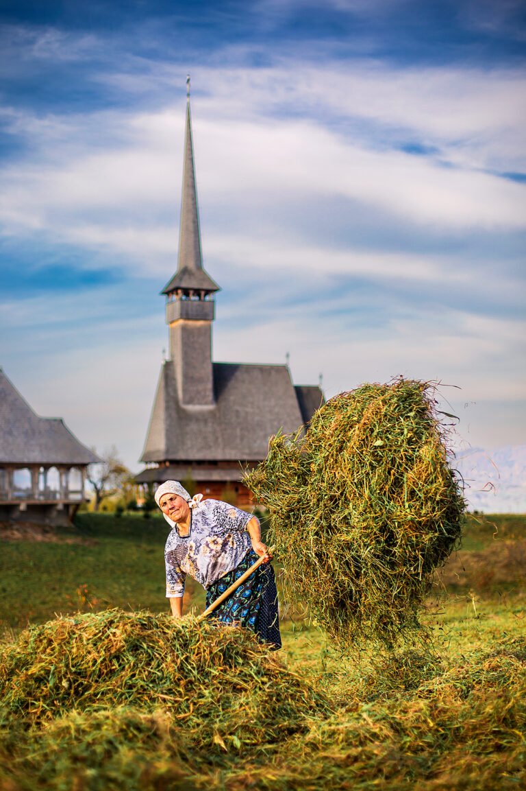 Femeie adunând fân lângă biserică de lemn, România.