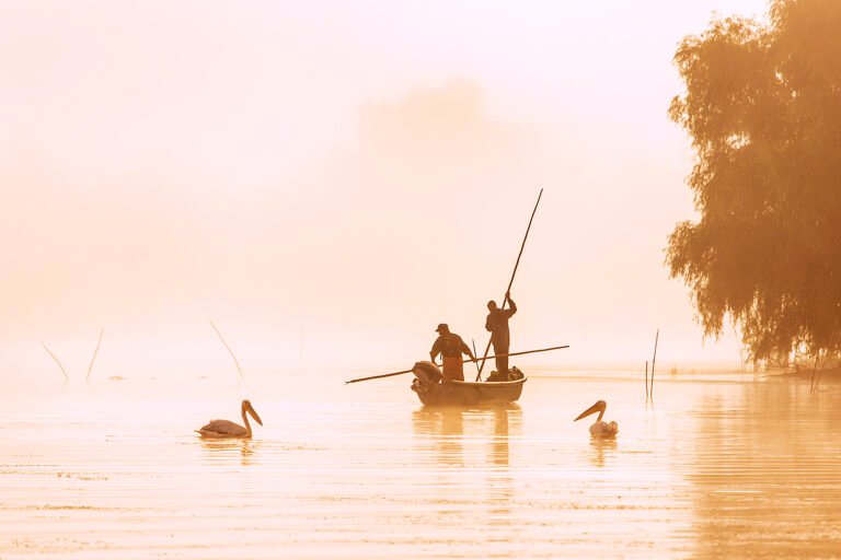 Pescari în barcă pe râu cu pelicani dimineața